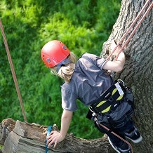 Goodleaf Tree Climbing
