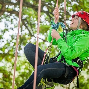 Goodleaf Tree Climbing