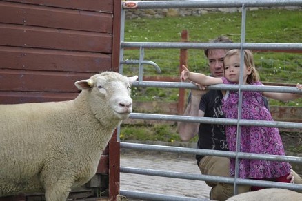 Gorgie City Farm