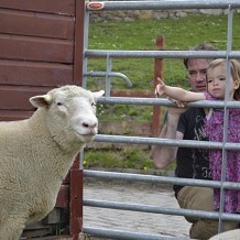 Gorgie City Farm