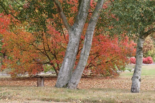 Green Island Gardens