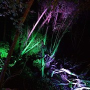 Groombridge Place Gardens & Enchanted Forest
