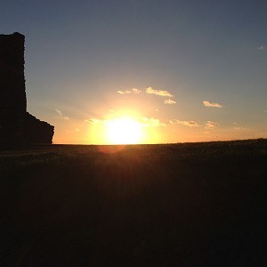 Hadleigh Castle & Country Park