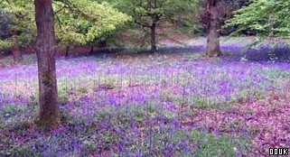 Hainault Forest Country Park