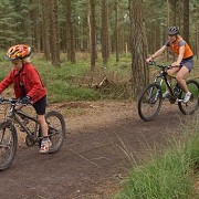 Haldon Forest