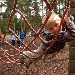 Haldon Forest