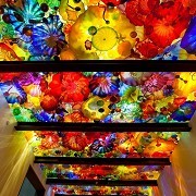 Halycon Gallery - Dale Chihuly: Beyond the Object Exhibition