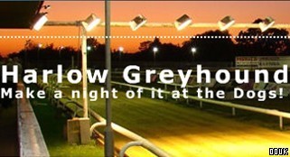 Harlow Stadium Greyhound Racing