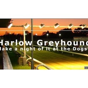 Harlow Stadium Greyhound Racing