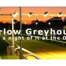 Harlow Stadium Greyhound Racing