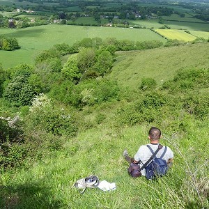 Harting Down