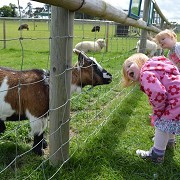 Hatfield Park Farm