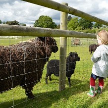 Hatfield Park Farm