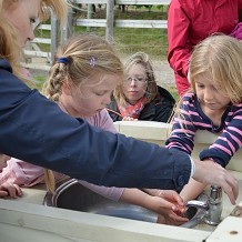 Hatfield Park Farm