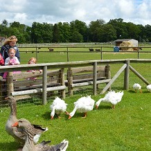 Hatfield Park Farm