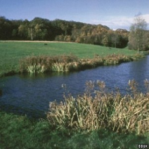 High Woods Country Park