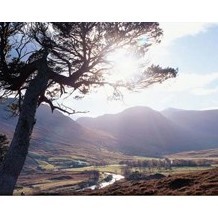 Highland Adventure Safaris