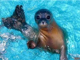 Hunstanton Sea Life Sanctuary