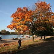 Hyde Park - © The Royal Parks