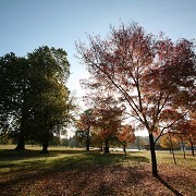 Hyde Park - © The Royal Parks