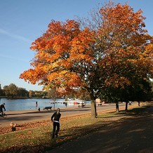 Hyde Park - &copy; The Royal Parks
