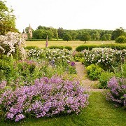 Kelmarsh Hall and Gardens