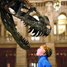 Kelvingrove Art Gallery and Museum