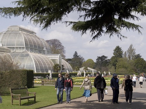 Kew Gardens - Palm House © RBG Kew