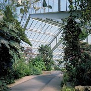 Kew Gardens - Princess of Wales Conservatory © RBG Kew