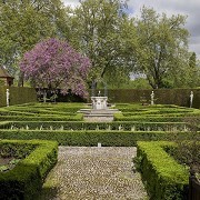 Kew Gardens - Queens Garden © RBG Kew