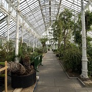 Kew Gardens - Temperate House © RBG Kew