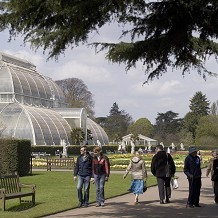 Kew Gardens - Palm House © RBG Kew