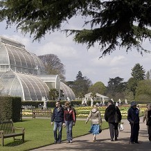 Kew Gardens - Palm House &copy; RBG Kew