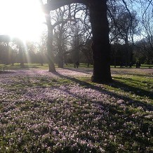 Kew Gardens - Spring © RBG Kew