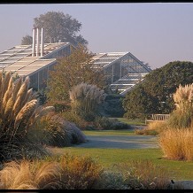 Kew Gardens - Autumn &copy; RBG Kew 