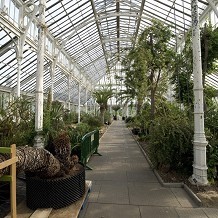 Kew Gardens - Temperate House &copy; RBG Kew