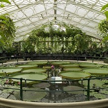 Kew Gardens - Waterlilly House © RBG Kew