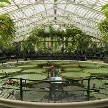 Kew Gardens - Waterlilly House &copy; RBG Kew