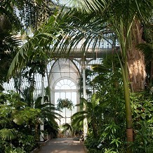 Kew Gardens - Palm House interior &copy; RBG Kew