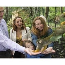 Lakeland Wildlife Oasis