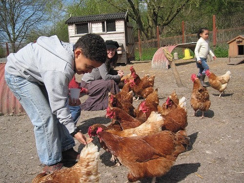 Lawrence Weston Community Farm