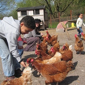 Lawrence Weston Community Farm