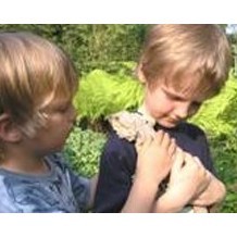 Linton Zoological Gardens