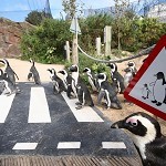 Living Coasts