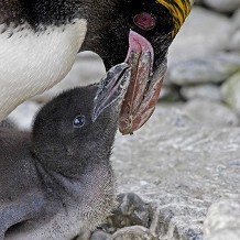 Living Coasts - &copy; Jennie Rattlidge
