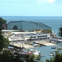 Living Coasts