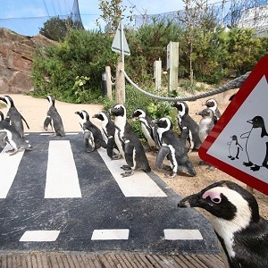 Living Coasts