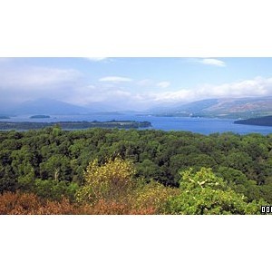 Loch Lomond National Nature Reserve