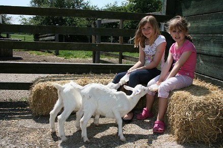 Longdown Activity Farm