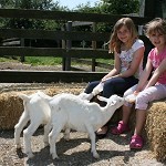 Longdown Activity Farm